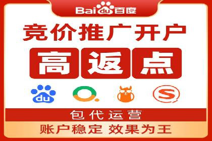 SEM网络推广案例：打造行业影响力品牌